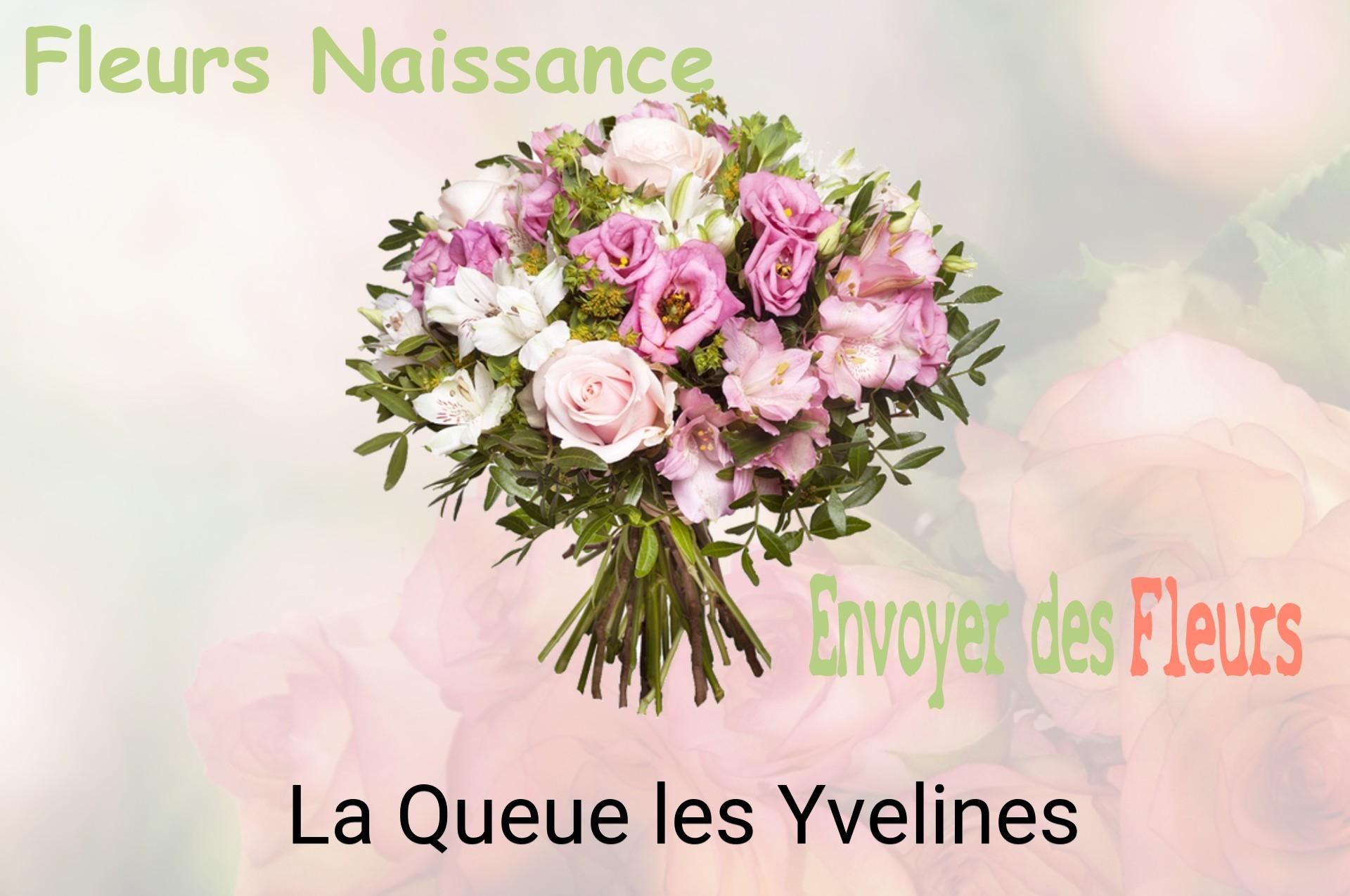 Bouquet de fleurs de naissance livré à La Queue-les-Yvelines